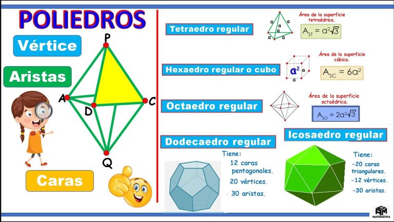 Descubre los fascinantes ejercicios de poliedros regulares para niños de 6º de primaria